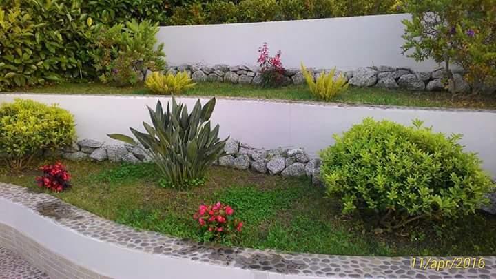 B&B Il Quadrifoglio โตรเปอา ภายนอก รูปภาพ